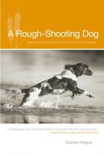 Rough-Shooting Dog