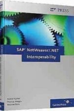 SAP NetWeaver / Microsoft .NET Interoperability