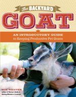 Backyard Goat