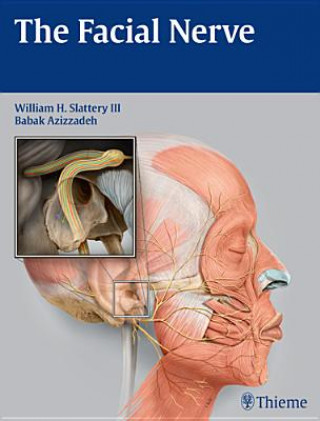 Facial Nerve