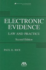 Electronic Evidence