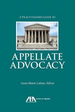Practitioner's Guide to Appellate Advocacy