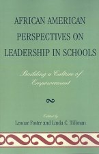African American Perspectives on Leadership in Schools