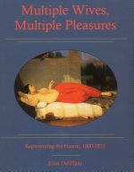 Multiple Wives, Multiple Pleasures