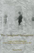 Imagined Immigrant