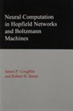 Neural Computation in Hopfield Networks and Boltzmann Machines