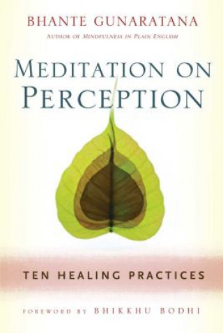 Meditation on Perception (Henepola Gunaratana)(Miękka)