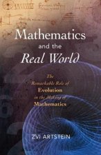 Mathematics and the Real World