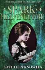 Spark of Heavenly Fire