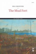 Mud Fort
