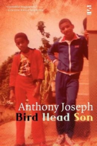 Bird Head Son
