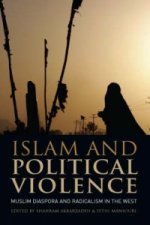 Islam and Political Violence