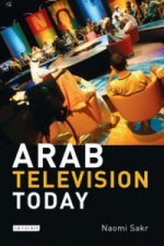 Arab Television Today