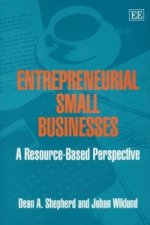 Entrepreneurial Small Businesses