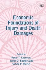 Economic Foundations of Injury and Death Damages