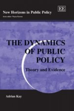 Dynamics of Public Policy