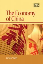 Economy of China