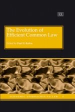 Evolution of Efficient Common Law