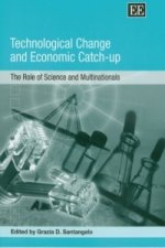Technological Change and Economic Catch-up
