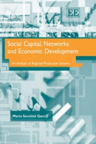 Social Capital, Networks and Economic Developmen - An Analysis of Regional Productive Systems