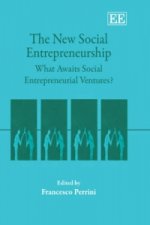 New Social Entrepreneurship - What Awaits Social Entrepreneurial Ventures?