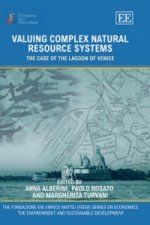 Valuing Complex Natural Resource Systems - The Case of the Lagoon of Venice