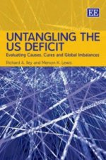 Untangling the US Deficit - Evaluating Causes, Cures and Global Imbalances