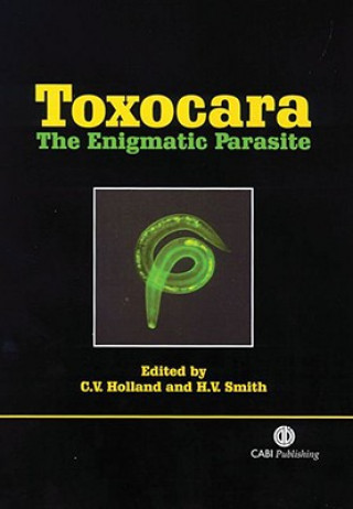 Toxocara