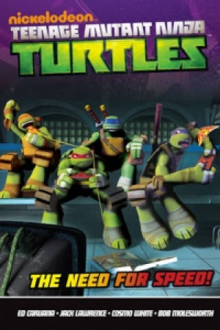Teenage Mutant Ninja Turtles Collected Comics Volume 1