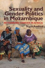 Sexuality and Gender Politics in Mozambique