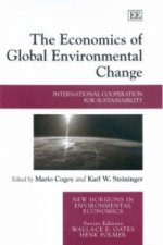 Economics of Global Environmental Change