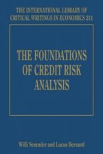 Foundations of Credit Risk Analysis