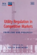Utility Regulation in Competitive Markets - Problems and Progress