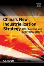 China's New Industrialization Strategy - Was Chairman Mao Really Necessary?