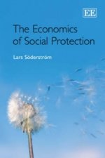 Economics of Social Protection