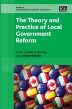 Theory and Practice of Local Government Reform