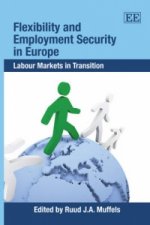 Flexibility and Employment Security in Europe - Labour Markets in Transition