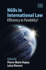 NGOs in International Law - Efficiency in Flexibility?