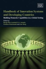 Handbook of Innovation Systems and Developing Co - Building Domestic Capabilities in a Global Setting