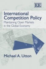 International Competition Policy