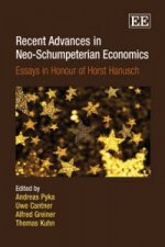 Recent Advances in Neo-Schumpeterian Economics