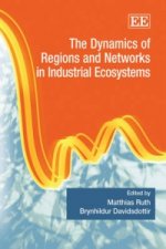 Dynamics of Regions and Networks in Industrial Ecosystems