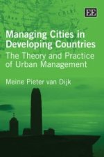 Managing Cities in Developing Countries - The Theory and Practice of Urban Management