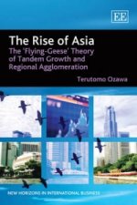 Rise of Asia - The 'Flying-Geese' Theory of Tandem Growth and Regional Agglomeration