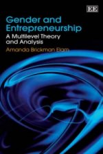 Gender and Entrepreneurship - A Multilevel Theory and Analysis