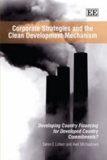 Corporate Strategies and the Clean Development Mechanism