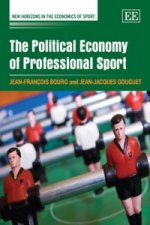 Political Economy of Professional Sport