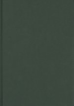 Organizational Ethnography