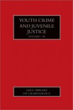 Youth Crime and Juvenile Justice