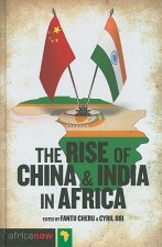 Rise of China and India in Africa